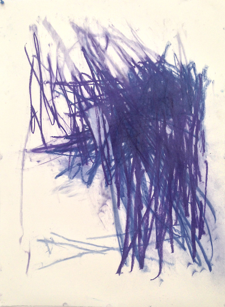 Chris Crash D R A W I N G pastel on paper