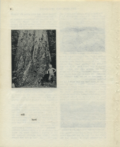 p8 (still hard) Matthew Cusick Defacements Defaced book page