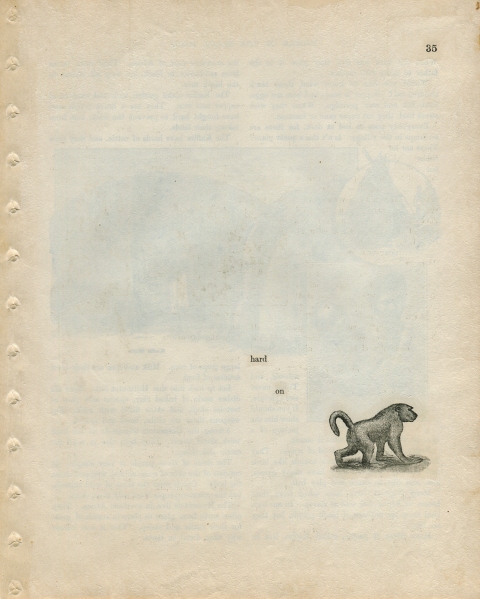 p35 (hard on) Matthew Cusick Defacements Defaced book page