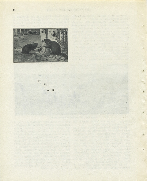 p44 (TCoB) Matthew Cusick Defacements Defaced book page
