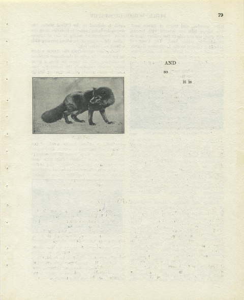 p79 (AND so it is) Matthew Cusick Defacements Defaced book page