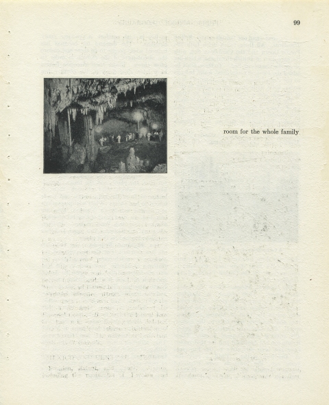 p99 (room for the whole family) Matthew Cusick Defacements Defaced book page