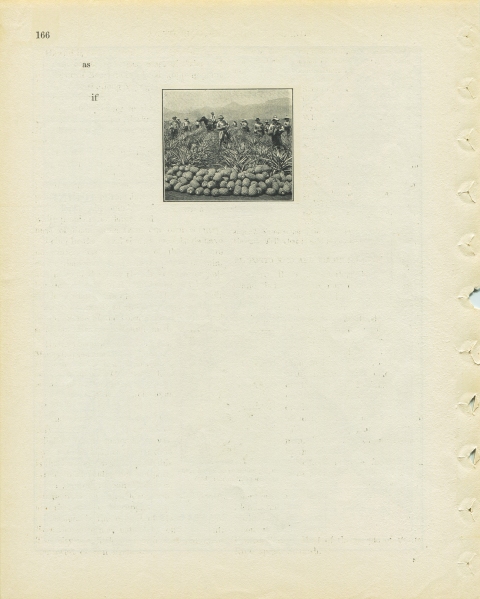 p166 (as if) Matthew Cusick Defacements Defaced book page