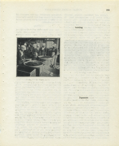 p185 (turning Japanese) Matthew Cusick Defacements Defaced book page