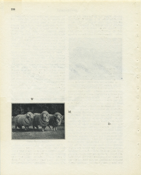 p238 (WMD) Matthew Cusick Defacements Defaced book page