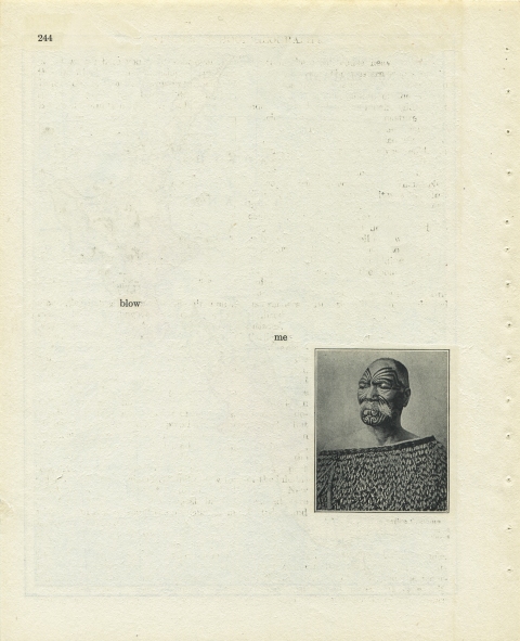 p244 (blow me) Matthew Cusick Defacements Defaced book page