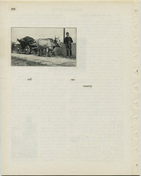 p222 (call me country) Matthew Cusick Defacements Defaced book page