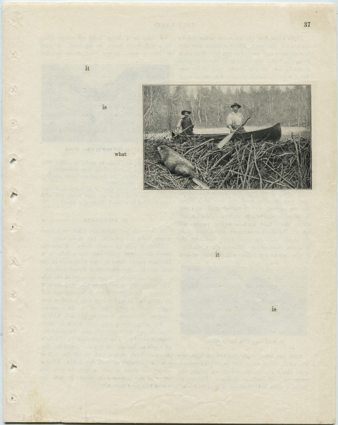 p37 (it is what it is) Matthew Cusick Defacements Defaced book page