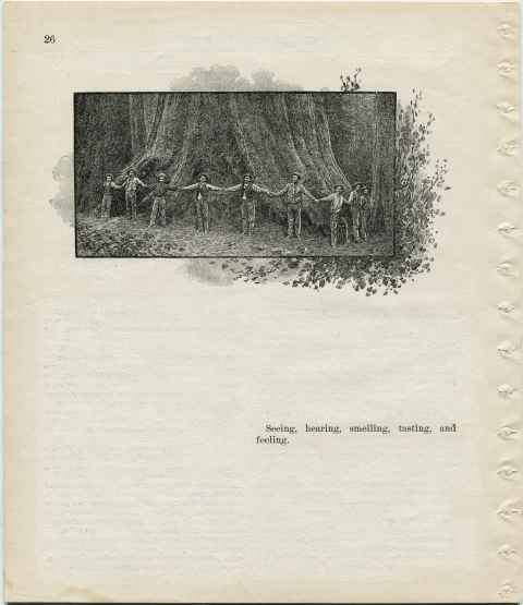 p26 (seeing... feeling) Matthew Cusick Defacements Defaced book page