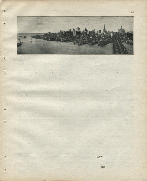 p125 (blow me) Matthew Cusick Defacements Defaced book page