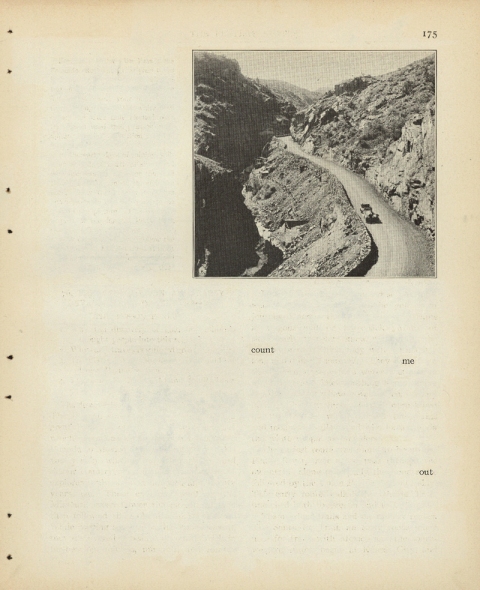 p175 (count me out) Matthew Cusick Defacements Defaced book page