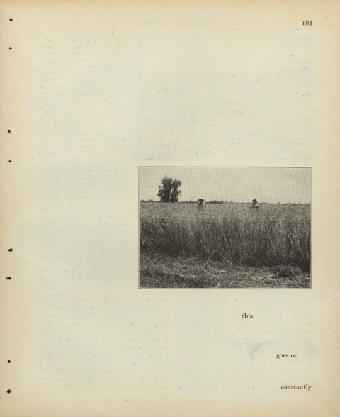 p181, (this goes on constantly) Matthew Cusick Defacements Defaced book page