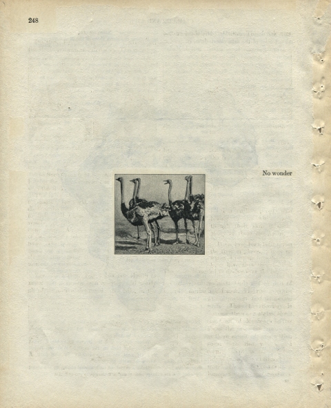 p248 (No wonder) Matthew Cusick Defacements Defaced book page