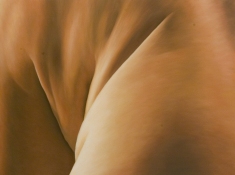 Matthew Lahm Flesh Compositions 2007-2012 oil on canvas
