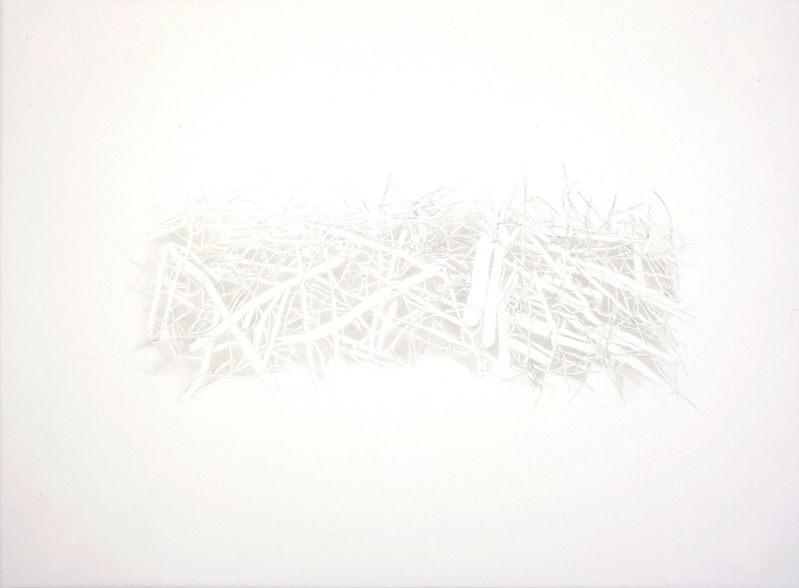 Dam Series 1.5 beaver dam Ink and Graphite on Paper