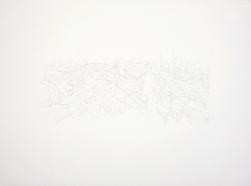 Dam Series 1.6 beaver dam Ink and Graphite on Paper