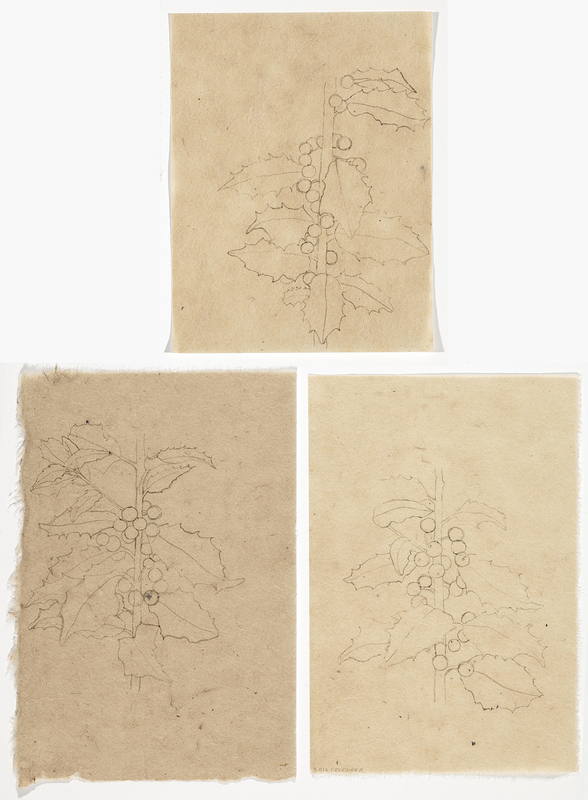 Holly Studies drawn from life India ink on Nepal paper