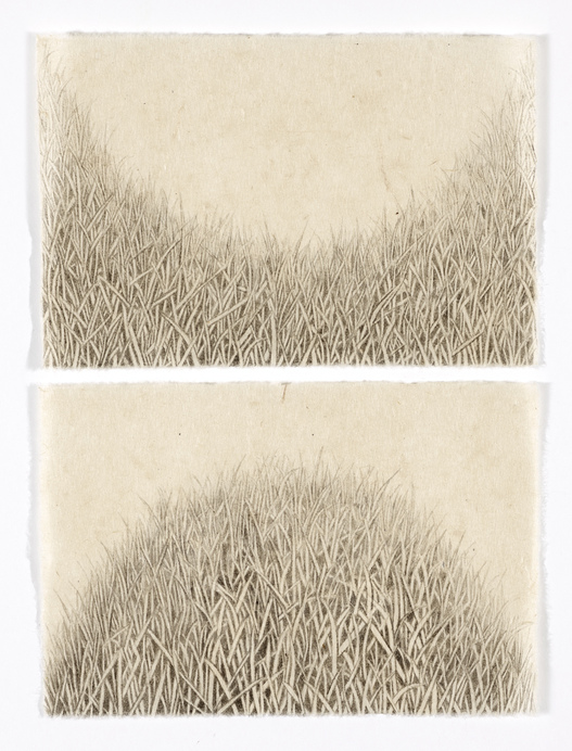 Hill/Hole (valley & hill diptych, vertical) hill and hole India ink on Nepal paper
