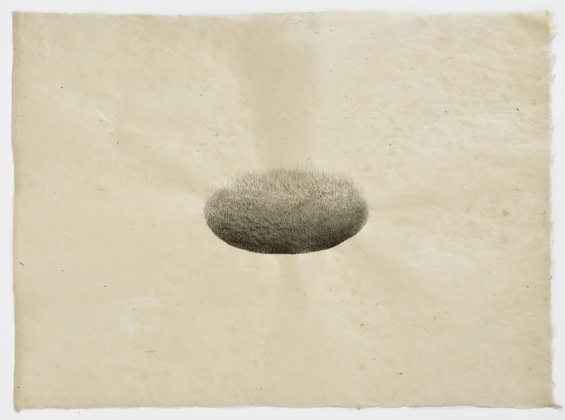 Hill/Hole (hole #3) hill and hole India ink on Nepal paper