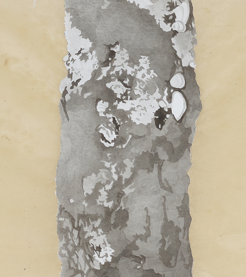 Endless Tree, detail 3 endless tree India ink and absorbent ground on Nepal paper