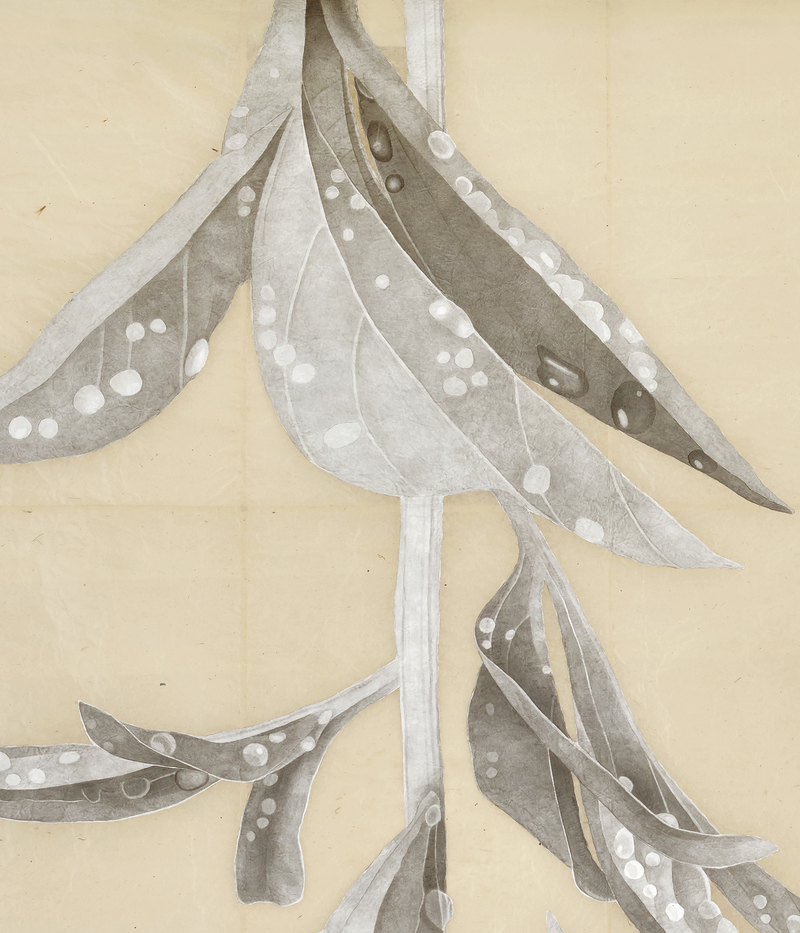 Marden Peony, After the Rain (detail) marden peony, after the rain Absorbent ground, acrylic gesso, India ink and graphite on Nepal paper