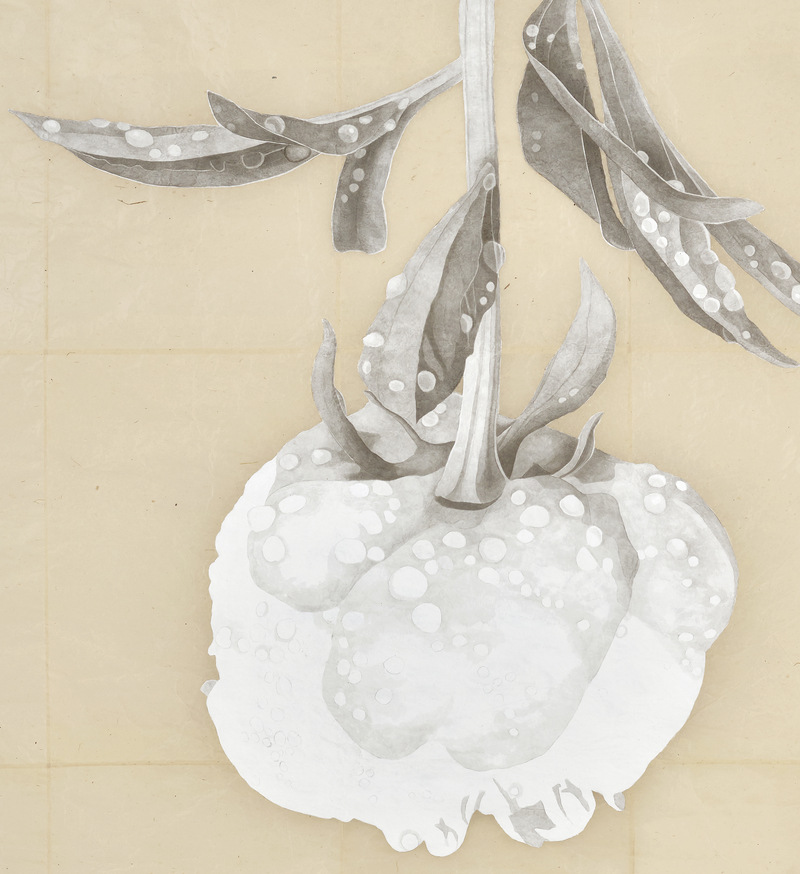 Marden Peony, After the Rain (detail) marden peony, after the rain Absorbent ground, acrylic gesso, India ink and graphite on Nepal paper