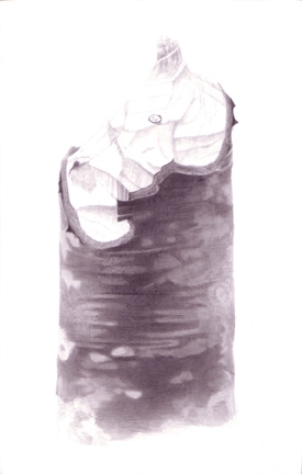 Stump 2-7-11 beaver stumps India ink on gessoed board