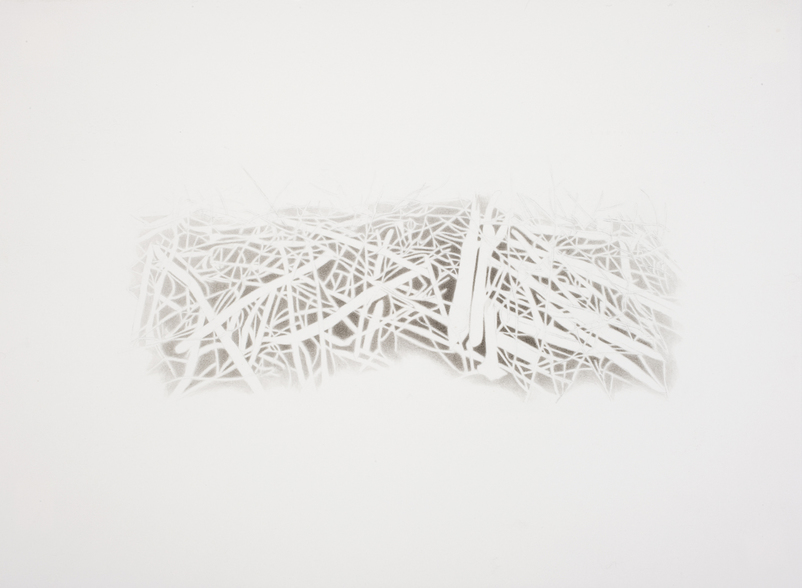 Dam Series 1.1 beaver dam Ink and Graphite on Paper