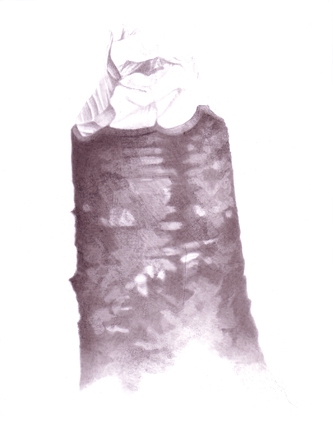 Stump 1-14-11 beaver stumps India ink on gessoed board