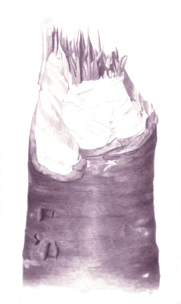 Stump 2-27-11 beaver stumps India ink on gessoed board
