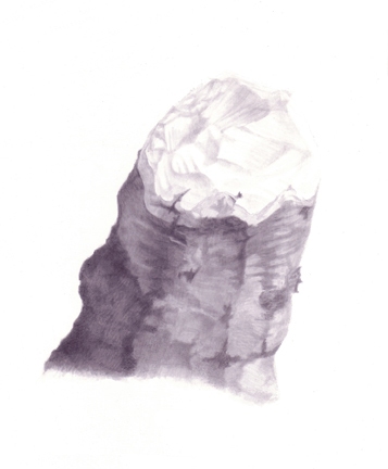 Stump 2-21-11 beaver stumps India ink, gesso on board