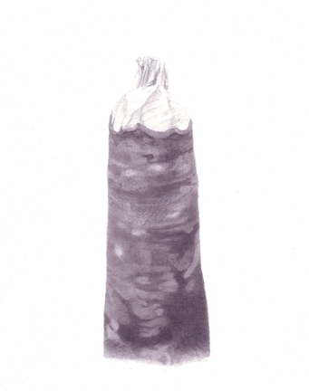 Stump 2-17-11 beaver stumps India ink on gessoed board