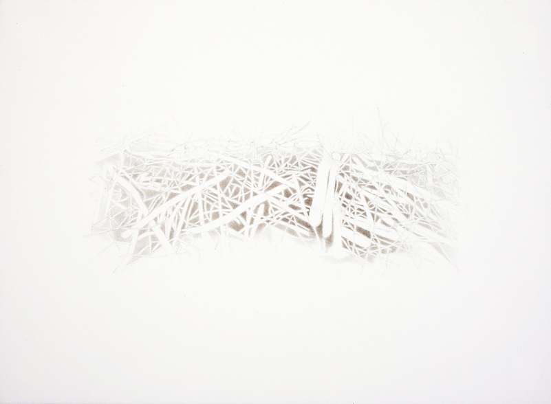Dam Series 1.2 beaver dam Ink and Graphite on Paper