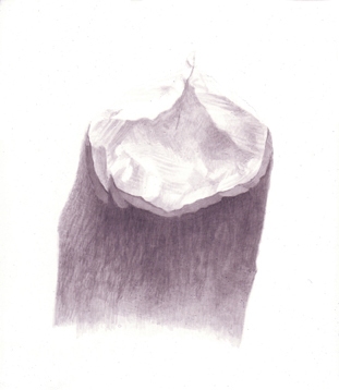 Stump 1-7-11 beaver stumps India ink on gessoed board