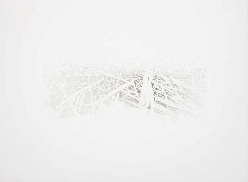 Dam Series 1.3 beaver dam Ink and Graphite on Paper