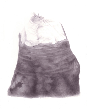 Stump 3-31-11 beaver stumps India ink on gessoed board
