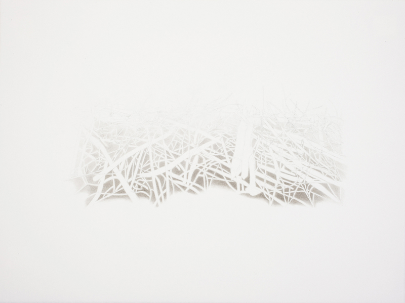 Dam Series 1.4 beaver dam Ink and Graphite on Paper