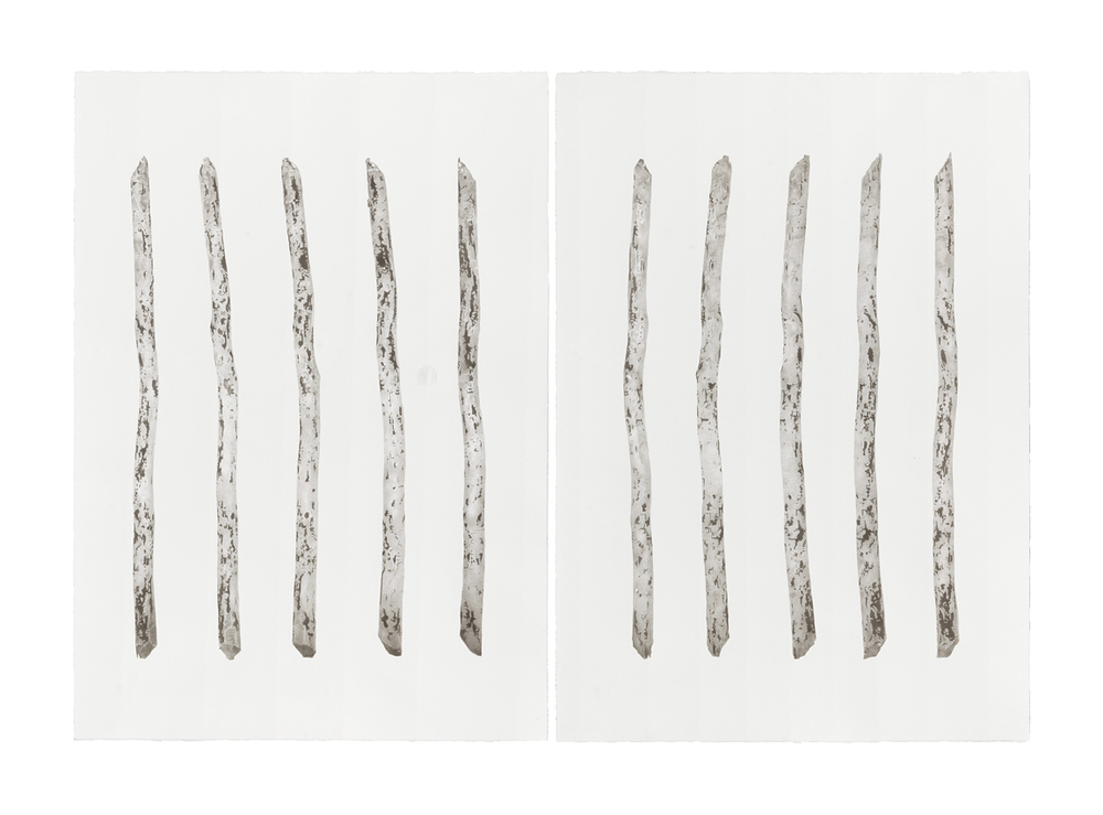 Stick Studies (10 Views) beaver stick Ink, graphite on paper