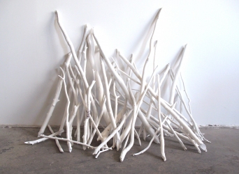 Meg Alexander indoor dam Sticks, Gesso, Graphite, Ink
