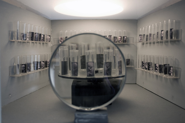 Test Tube Baby Room (Omphalos detail) Installations