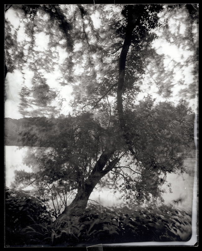 Kelly Drive near Lincoln, Philadelphia, 2013 Michael Kolster Schuylkill River (PA) ambrotype