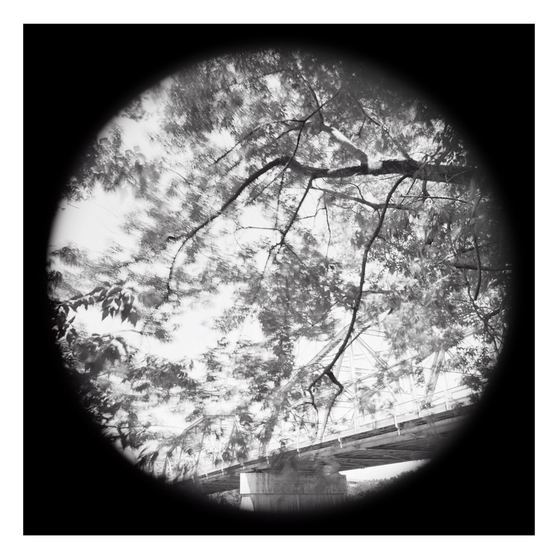 Auburn (2/fr3) Michael Kolster Tondos archival pigment print