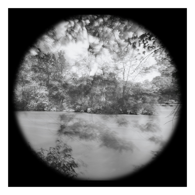 Deer Rips (fr4) Michael Kolster Tondos archival pigment print