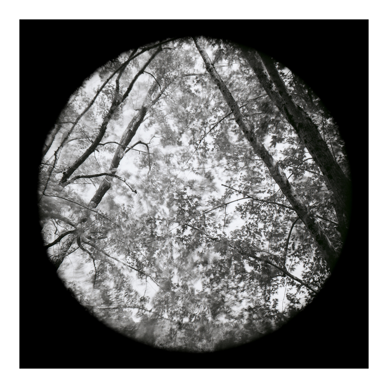 Durham Riverpark (1/fr7) Michael Kolster Tondos archival pigment print