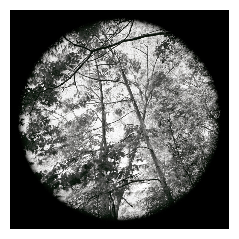 Lisbon (2/fr10) Michael Kolster Tondos archival pigment print