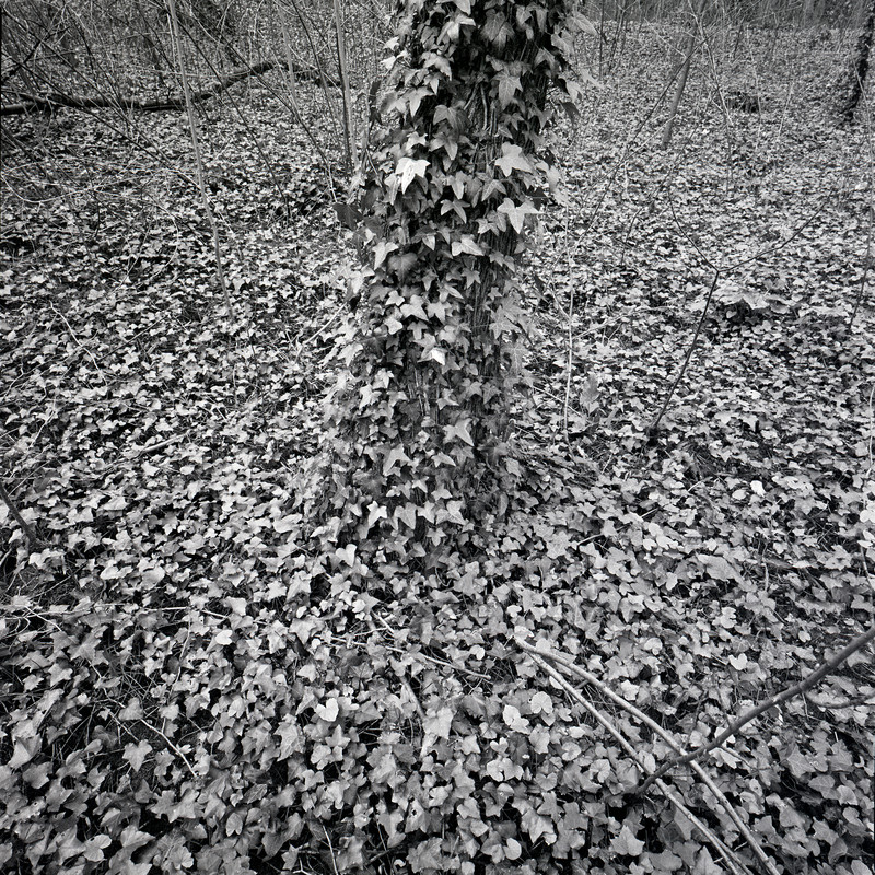 St Cloud 1/fr8 Michael Kolster St. Cloud archival pigment print