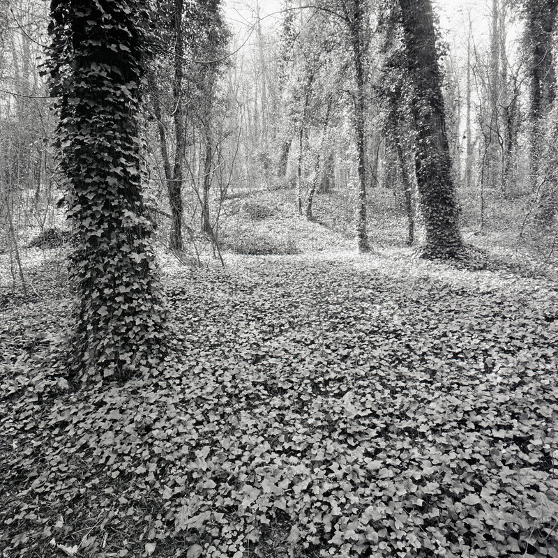 St Cloud 1/fr10 Michael Kolster St. Cloud archival pigment print