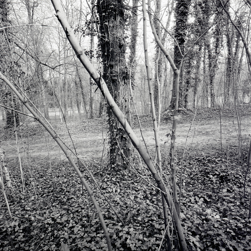 St Cloud 1/fr12 Michael Kolster St. Cloud archival pigment print