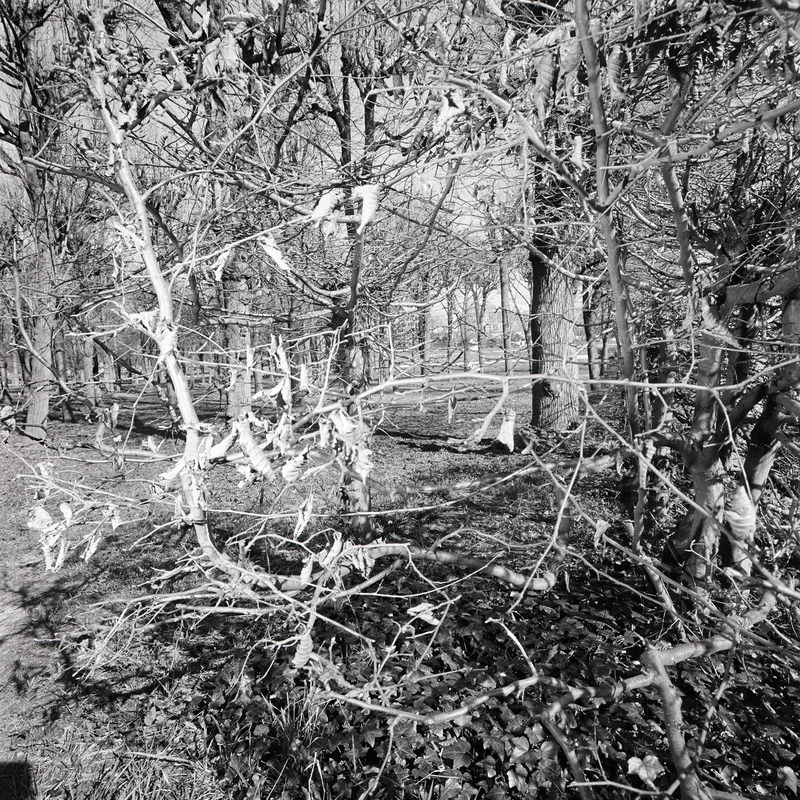 St Cloud 2/fr10 Michael Kolster St. Cloud archival pigment print