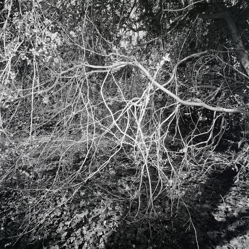 St Cloud 3/fr6 Michael Kolster St. Cloud archival pigment print